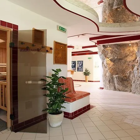 Hotel Alpenhof Kirchberg in Tirol