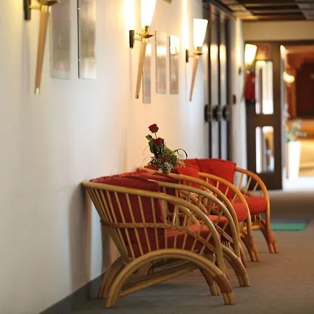 Hotel Alpenhof Kirchberg in Tirol