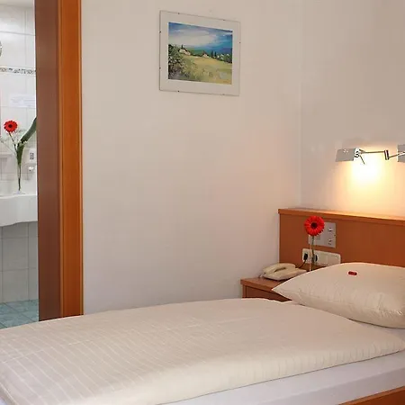 Alpenhof Hotel 3*